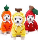 Fruit Dog Clothes Two-legged Hooded Outfits Green Fleece Clothing Autumn Winter Hoodies Essential Dog
