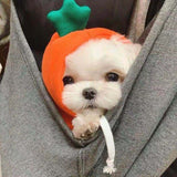 Fruit Dog Clothes Two-legged Hooded Outfits Green Fleece Clothing Autumn Winter Hoodies Essential Dog