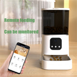 Pet Automatic Feeder Large Capacity Smart Voice Recorder APP Control Timer Feeding Cat Dog Food Dispenser With WiFi Pet Bo Essential Dog