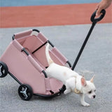 Foldable Pet Stroller – Glide in Style, Stroll in Comfort