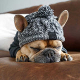 Winter Fashion Dog Hat Windproof Fluffy Knitted Polar Pom Hat Essential Dog