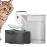 Smart Wireless Fountain