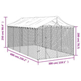 NNEVL Outdoor Dog Kennel with Roof Silver 3x6x2.5 m Galvanised Steel NNEVL