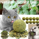 NNEOBA Edible Catnip Ball – Natural Cat Mint Toy NNEOBA