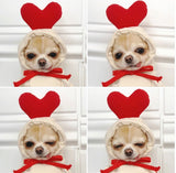 Fruit Dog Clothes Two-legged Hooded Outfits Green Fleece Clothing Autumn Winter Hoodies Essential Dog