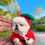 Fruit Dog Clothes Two-legged Hooded Outfits Green Fleece Clothing Autumn Winter Hoodies Essential Dog