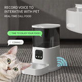 Pet Automatic Feeder Large Capacity Smart Voice Recorder APP Control Timer Feeding Cat Dog Food Dispenser With WiFi Pet Bo Essential Dog