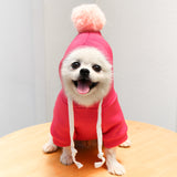 Fruit Dog Clothes Two-legged Hooded Outfits Green Fleece Clothing Autumn Winter Hoodies Essential Dog