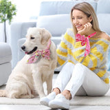 ChillPup Ice Bandana – The Coolest Summer Style for Your Hot Dog