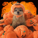 Pet Hat Halloween Funny Pumpkin Hat Cute Pet Animal Costume Essential Dog