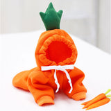 Fruit Dog Clothes Two-legged Hooded Outfits Green Fleece Clothing Autumn Winter Hoodies Essential Dog