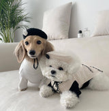 Pet Dog Cat Accessories Knitted Hat Essential Dog