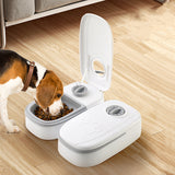 Automatic Pet Feeder Smart Food Dispenser For Cats Dogs Timer Stainless Steel Bowl Auto Dog Cat Pet Feeding Pets Supplies Essential Dog